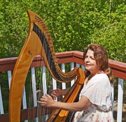 Harp by the lake