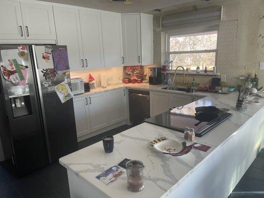 Ignore the unfinished kitchen... LOOK AT THE CABINETS!