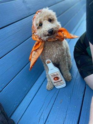 Dog Friendly Patio. Dine with your 4 legged friend and we'll take 10% Off your bill everyday!