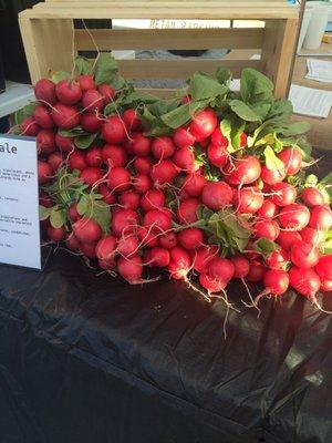 Gorgeous organic radishes