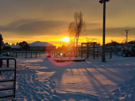 Iron Gait Ranch