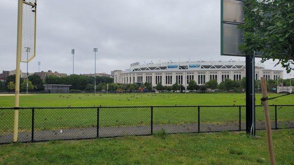 Heritage Field