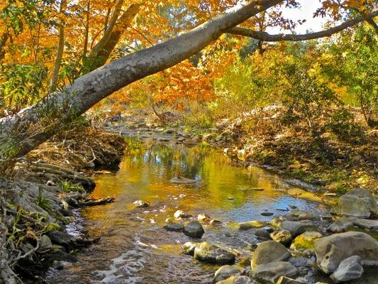 Fall season in Elfin Forest, Escondido, Ca