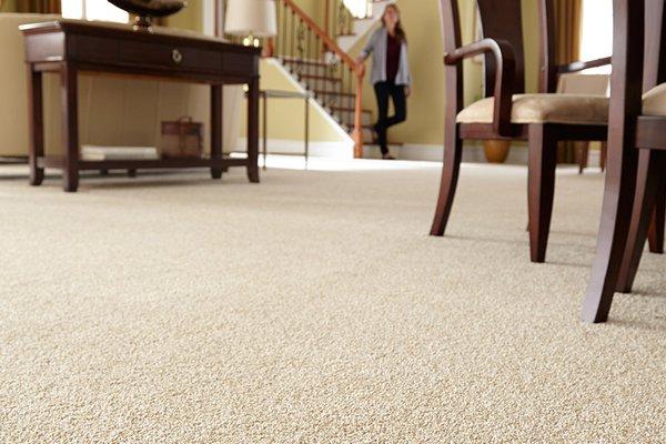 What makes us different? Our inventory! of a luxury selection of SUPER DISCOUNTED carpet!