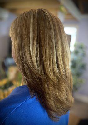 Full color, Partial highlights, toner, women's cut, and blowout!