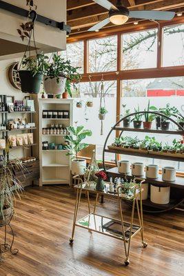 Our retail space - come pick up a plant to nurture.