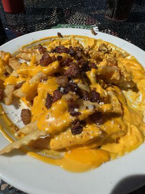 Loaded fries