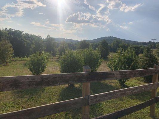 View from the cottages. Hello, gorgeous!