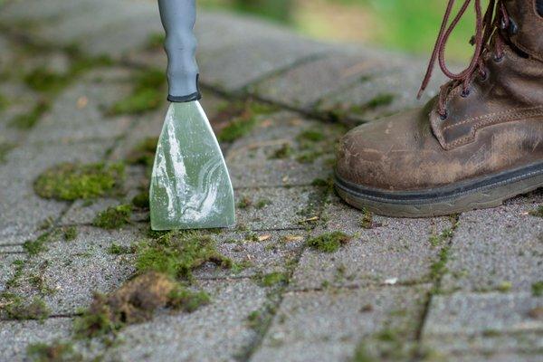 Roof Cleaning 101