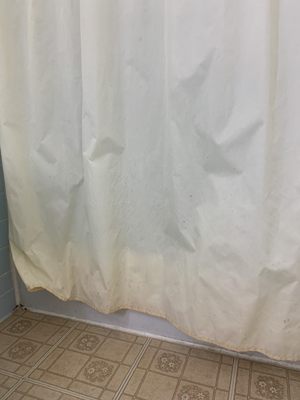 Dirty moldy shower curtain