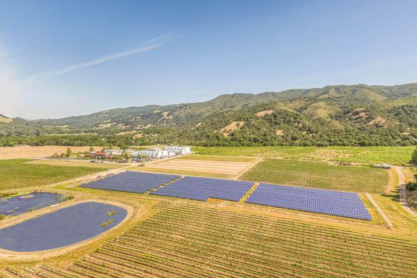 Winery Solar