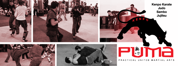 Providing great instruction for self defense and martial arts in the DC Metro Area.