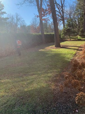 Leaf Blowing