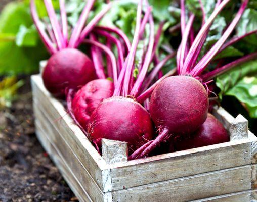 Beets