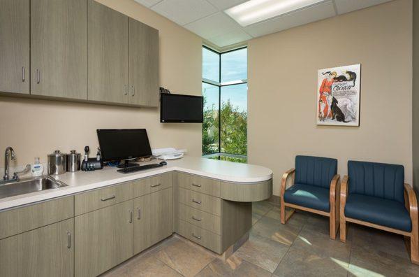 Small Animal Exam Room with dual displays