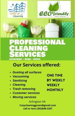 Professional cleaning service