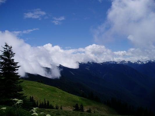 hurricane ridge