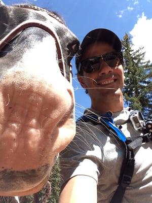 Horse selfie!