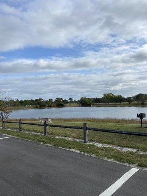 Paved walking trail along the lake