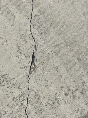 Concrete front driveway