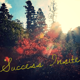 Success Insite