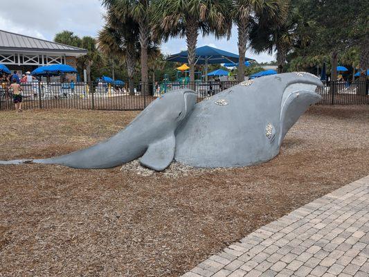 North Atlantic Right Whale, Neptune Park, Saint Simons, GA