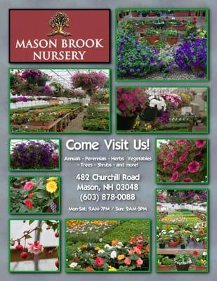 Mason Brook Nursery