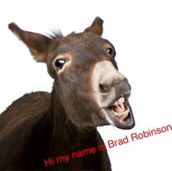 Brad Robinson Enterprises