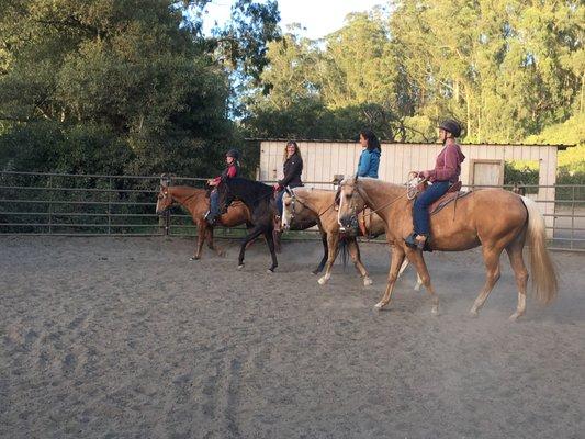 Horses ,Friends & Fun