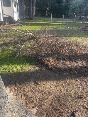 Debris on rented lots at checkin