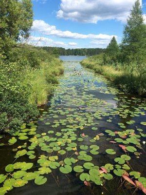 Rent a kayak; worth it! But get there early if busy or the weekend!