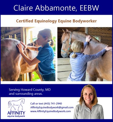 Certified equine bodyworker offering equine sports massage services in Howard County Maryland and surrounding areas.