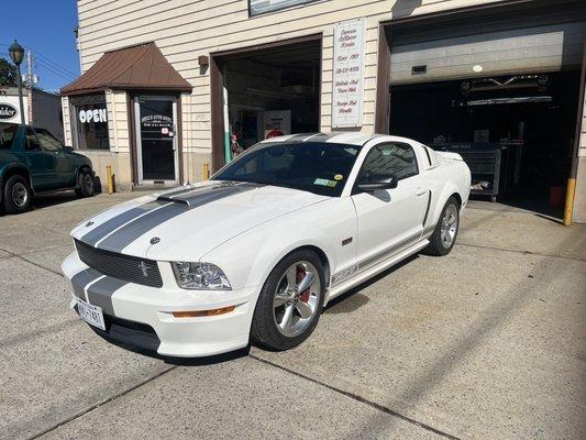 '07 Shelby GT