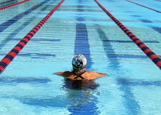 lap pool in Bellaire