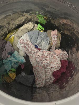 The company stated the spin cycle was fixed but you can clearly see the clothes are soaked. Please do not use this company.