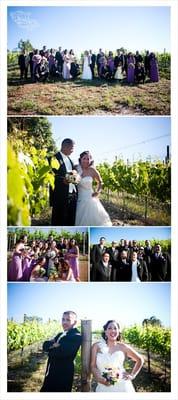 Napa Wedding