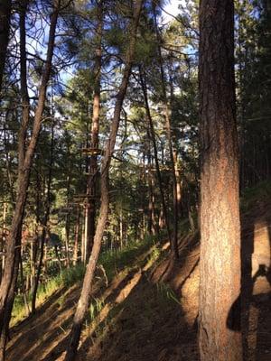 The high ropes/aerial course. Zip lines and obstacles everywhere.