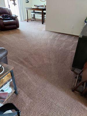 Living area which had stains ground in from before we moved in!  Dining area stains are gone!!