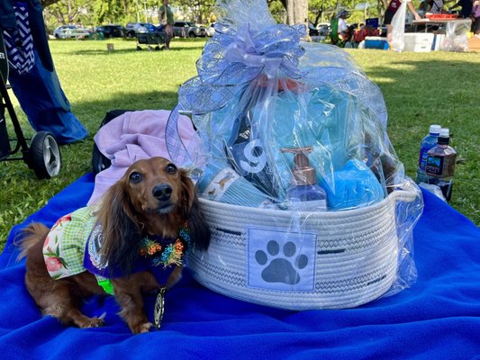 Hawaii Wiener Derby