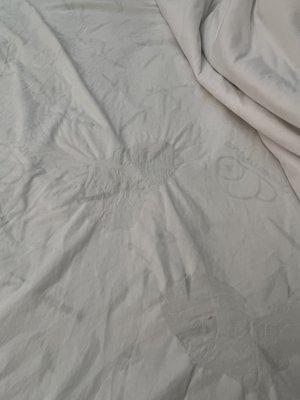 Wet nasty bed sheets