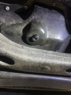 Drain plug was not even tightened.