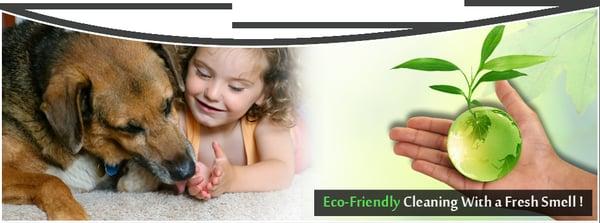 Child & Pet Friendly Carpet Cleaning Greenville, SC