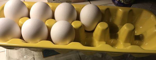 Ceramic egg tray