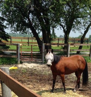 Gateway Riding Center