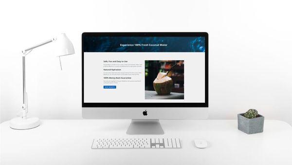 We built and designed a Shopify website for MetalCoco, a large metal coconut opener brand.