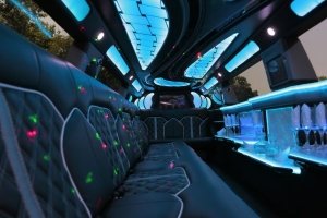 14 passengers stretch limousines