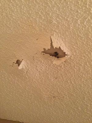 Ceiling above my tub! Was a small area peeling and it enlarged with time!