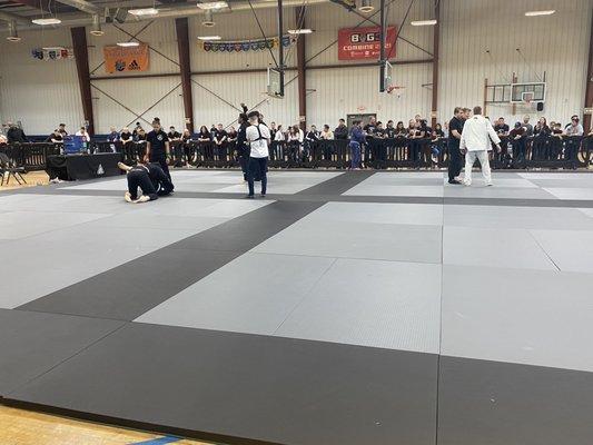 BJJ competitions