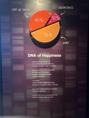 The DNA of happiness is 50% genetic!