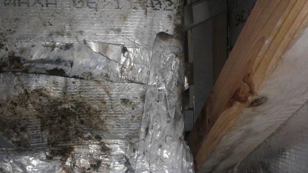 Mold on Ductwork